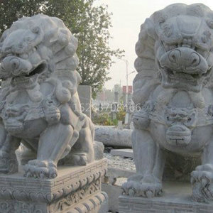 狮子系列