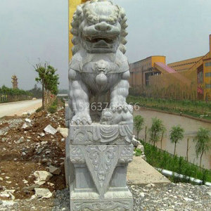 狮子系列